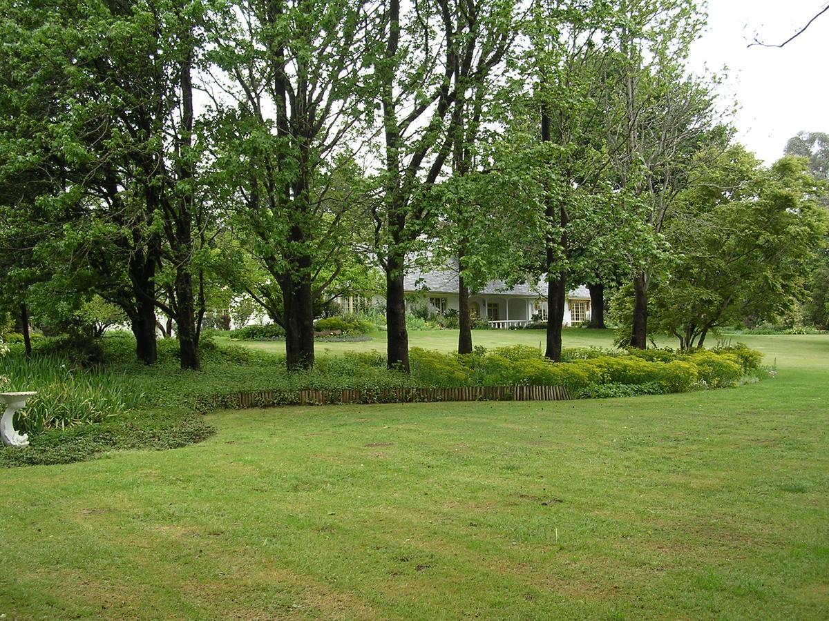 Bed and Breakfast Cedar Garden Underberg Zewnętrze zdjęcie
